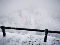 Der Blick vom Luitpoldturm im Winter